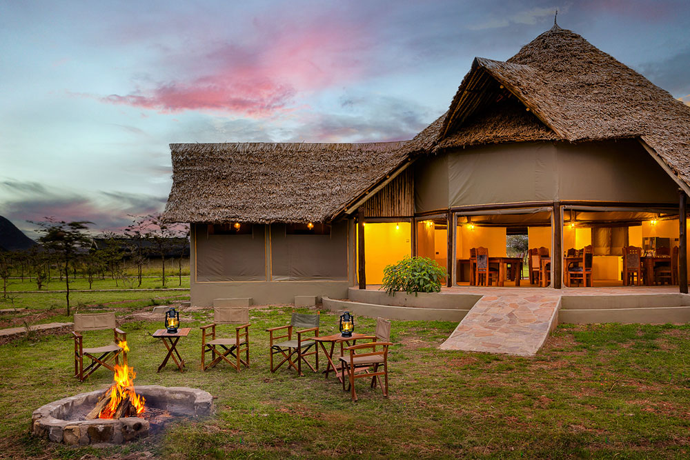Spectacles of Masai Mara wildlife photography