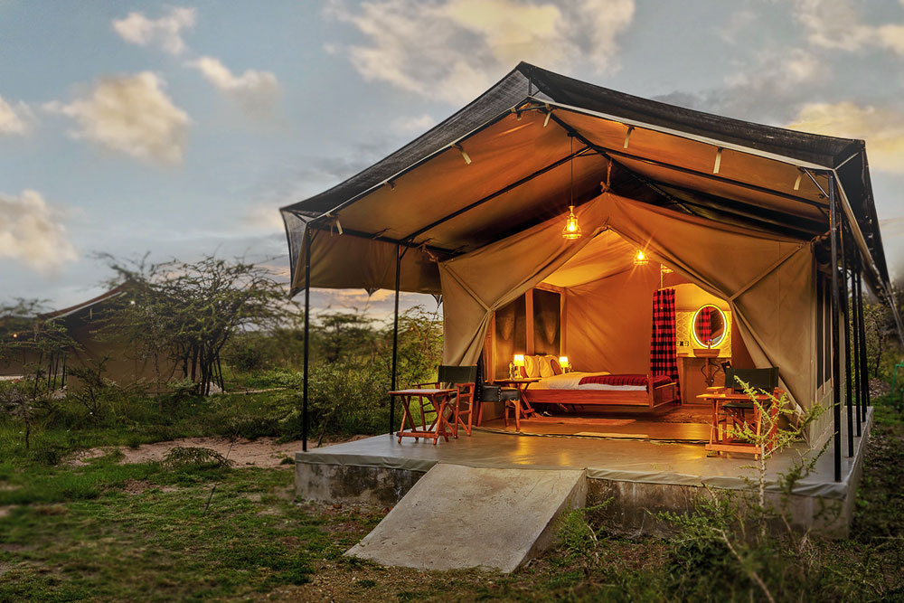 Spectacles of Masai Mara wildlife photography