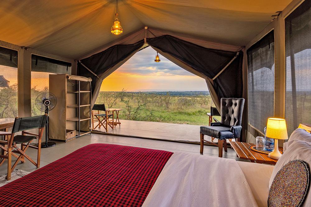 Spectacles of Masai Mara wildlife photography