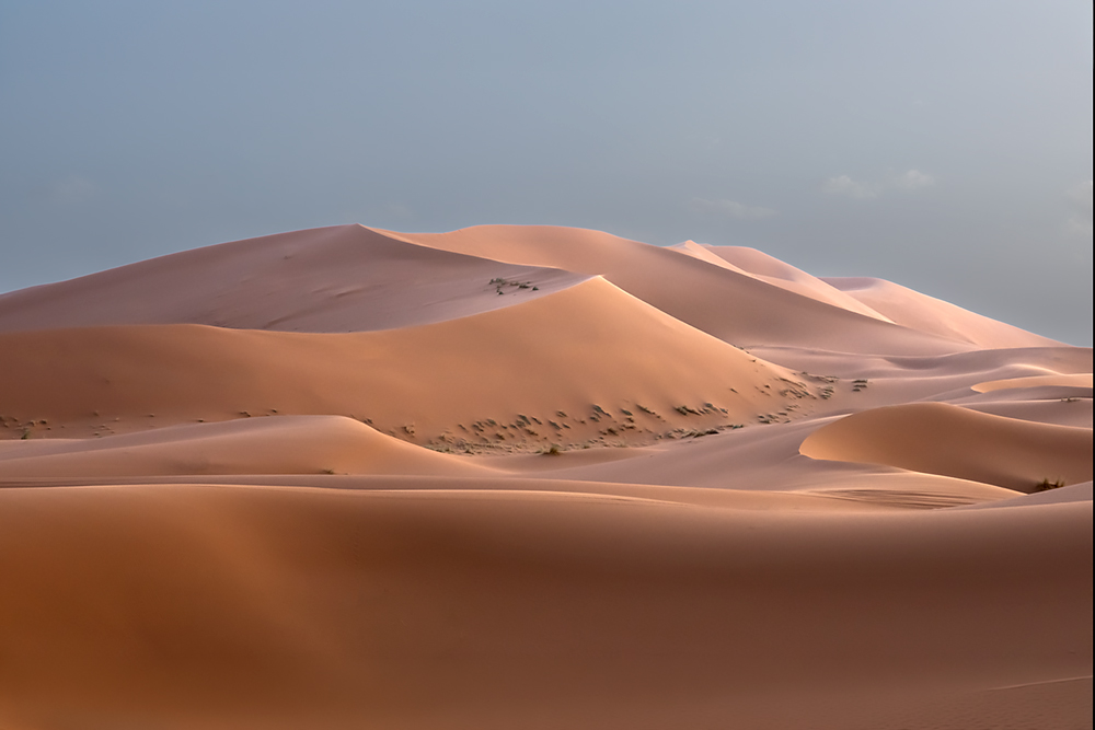Sahara dunes — Wild Wonders of the Sahara wildlife photography